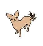 チワワ（犬）スタンプ（個別スタンプ：26）