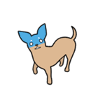 チワワ（犬）スタンプ（個別スタンプ：27）