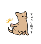 チワワ（犬）スタンプ（個別スタンプ：28）