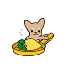 チワワ（犬）スタンプ（個別スタンプ：32）