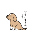 チワワ（犬）スタンプ（個別スタンプ：34）