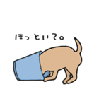 チワワ（犬）スタンプ（個別スタンプ：35）
