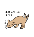 チワワ（犬）スタンプ（個別スタンプ：36）