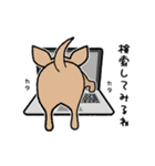 チワワ（犬）スタンプ（個別スタンプ：39）