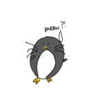 Pingo The Penguin（個別スタンプ：2）