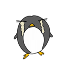 Pingo The Penguin（個別スタンプ：6）