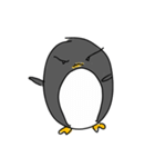 Pingo The Penguin（個別スタンプ：24）