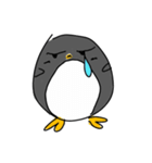Pingo The Penguin（個別スタンプ：39）