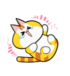 チーズニャンコ（個別スタンプ：14）