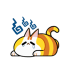 チーズニャンコ（個別スタンプ：15）