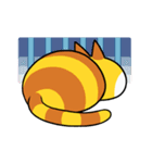 チーズニャンコ（個別スタンプ：16）