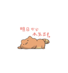 ぽんにゃん（個別スタンプ：38）