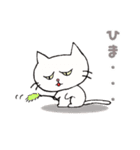 白ねこにゃーご（個別スタンプ：5）