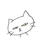 白ねこにゃーご（個別スタンプ：6）