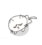 白ねこにゃーご（個別スタンプ：9）