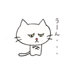 白ねこにゃーご（個別スタンプ：37）
