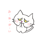 白ねこにゃーご（個別スタンプ：38）