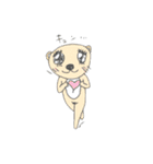 熊なのか犬なのかコアラなのかタヌキなのか（個別スタンプ：38）