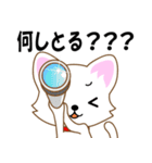 広島弁じゃけん。広島のねこ（個別スタンプ：17）