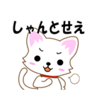 広島弁じゃけん。広島のねこ（個別スタンプ：29）