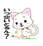 広島弁じゃけん。広島のねこ（個別スタンプ：33）