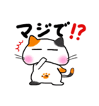 ことタマ（個別スタンプ：13）