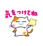 ことタマ（個別スタンプ：24）