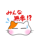ことタマ 第2弾（個別スタンプ：39）