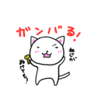 ネジのぬけたねこ。（個別スタンプ：25）