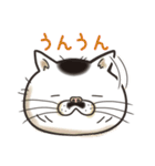 猫面相2 -ブサ猫スタンプ-（個別スタンプ：3）