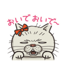 猫面相2 -ブサ猫スタンプ-（個別スタンプ：11）