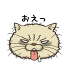 猫面相2 -ブサ猫スタンプ-（個別スタンプ：13）