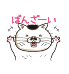猫面相2 -ブサ猫スタンプ-（個別スタンプ：31）