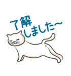 猫面相2 -ブサ猫スタンプ-（個別スタンプ：32）