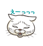 猫面相2 -ブサ猫スタンプ-（個別スタンプ：40）