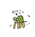 テキトウ動物（個別スタンプ：1）