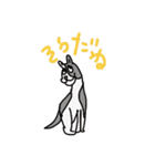 テキトウ動物（個別スタンプ：16）