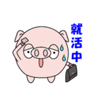 就活中のブヒマル（個別スタンプ：1）