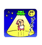 クマのオッさん（個別スタンプ：40）