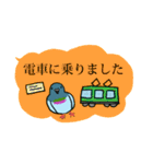 鳩スタンプ2（個別スタンプ：11）