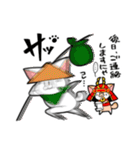 武士ねこ（個別スタンプ：13）