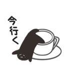 ブラックコーヒー君（個別スタンプ：37）