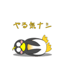 ペンギンで会話（個別スタンプ：24）