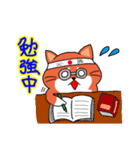 柴犬の業務連絡（日常編2）（個別スタンプ：28）