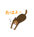 仲良しにゃんこ（個別スタンプ：1）