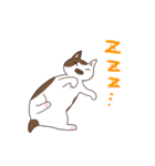 仲良しにゃんこ（個別スタンプ：2）