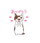 仲良しにゃんこ（個別スタンプ：10）