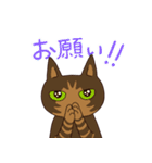 仲良しにゃんこ（個別スタンプ：13）