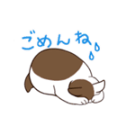 仲良しにゃんこ（個別スタンプ：14）