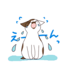 仲良しにゃんこ（個別スタンプ：15）